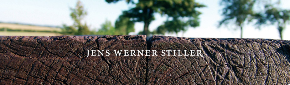 Werner Stiller - Historiker, Erbenermittler